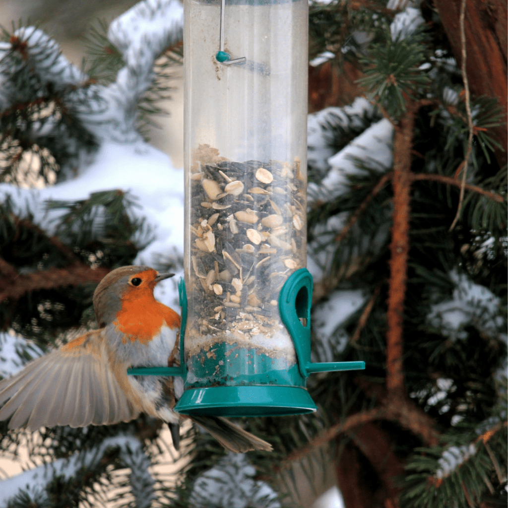 TLC by Helga&nbsp;Kidder