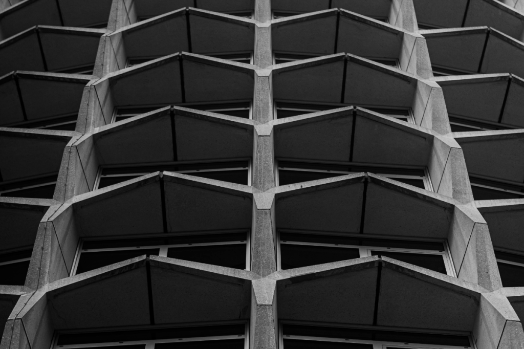 No Winners by Marie&nbsp;McCloskey